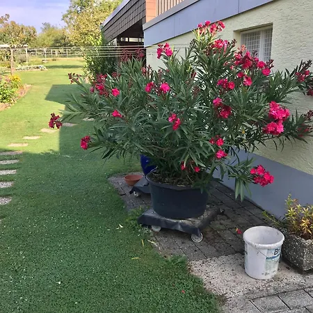 Privates Im Gruenen * Ettlingen